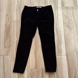 Women’s LC Lauren Conrad Black Velvet Pants sz 10